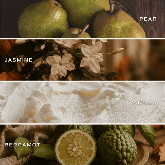 Cashmere + Vanilla Soy Candle - Cement Pumpkin Jar