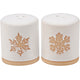 Snowflake Salt and Pepper Shaker Set