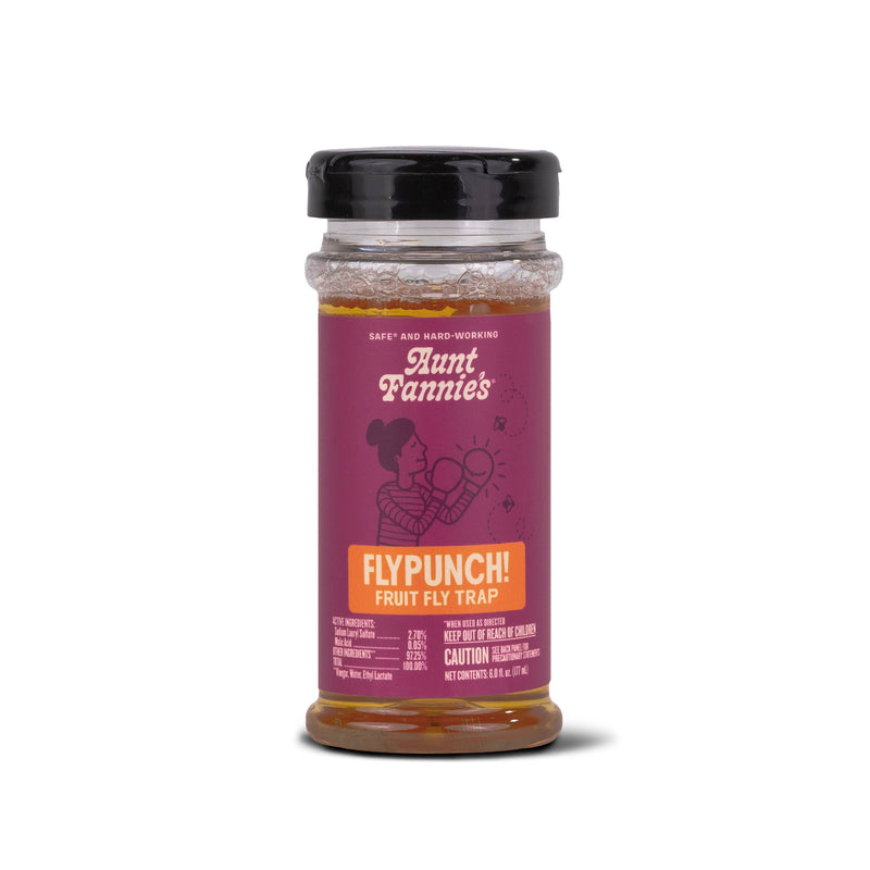 FlyPunch! Fruit Fly Trap