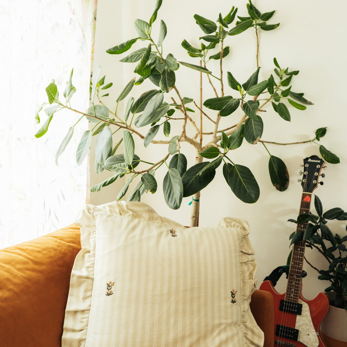 Frances Ruffled Pillow Cover