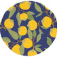 Lemons Bowl Covers Set of 2