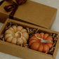 Fall Pumpkin Candle Set
