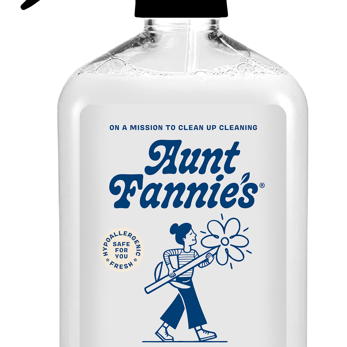 Stainless Steel Cleaner