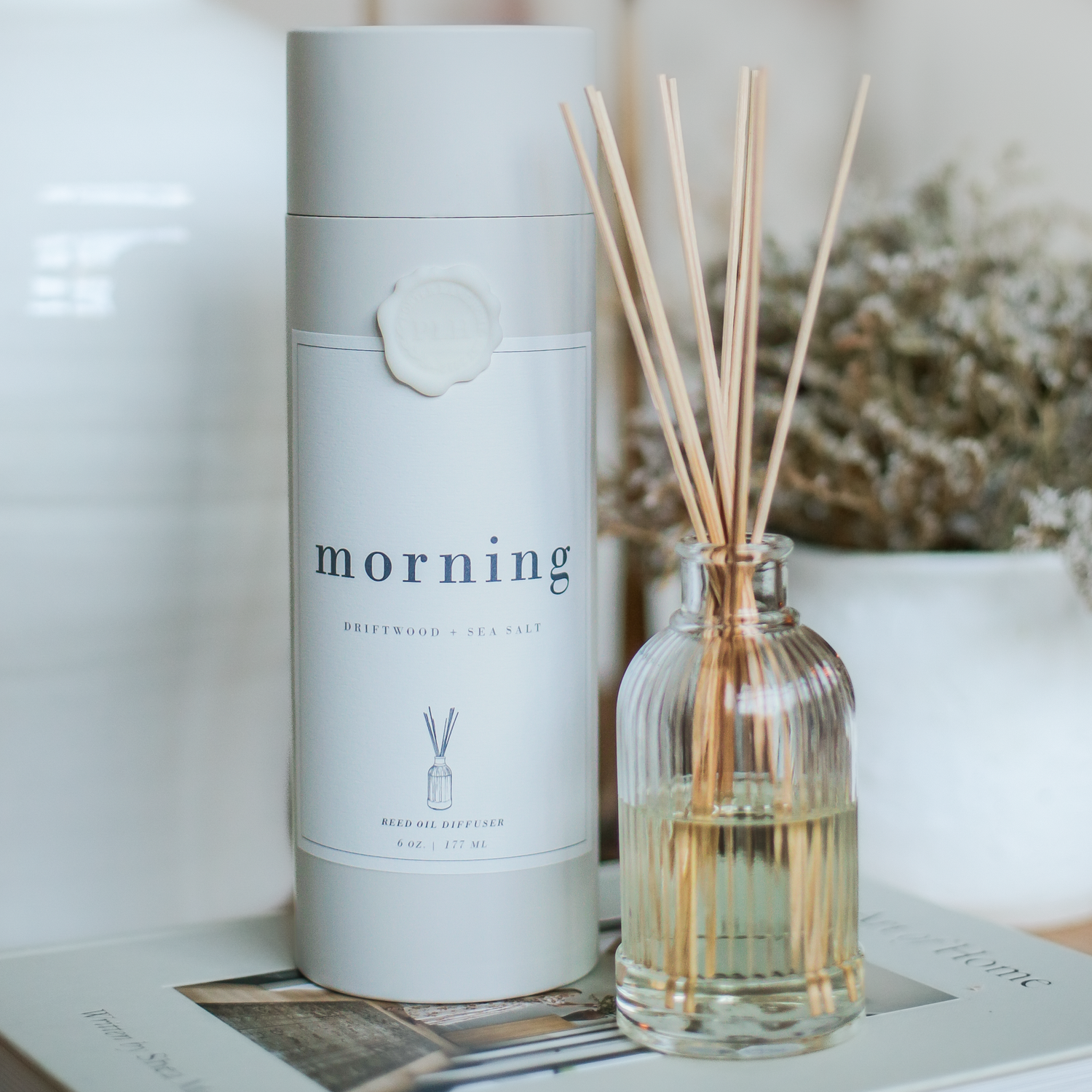 Morning | Driftwood + Sea Salt Reed Diffuser