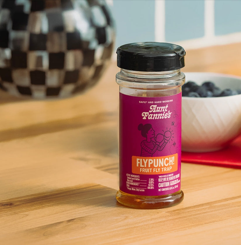 FlyPunch! Fruit Fly Trap