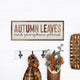 Autumn Leaves And Pumpkins Please