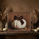 Velvet Bow Pumpkin Wall Art