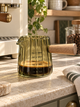 Scalloped Espresso Measuring Glass | Green