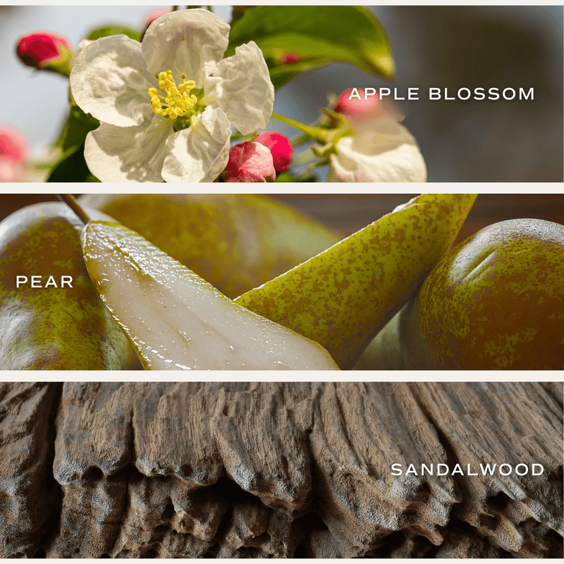 Fresh Apple Blossom Gold Floral Candle