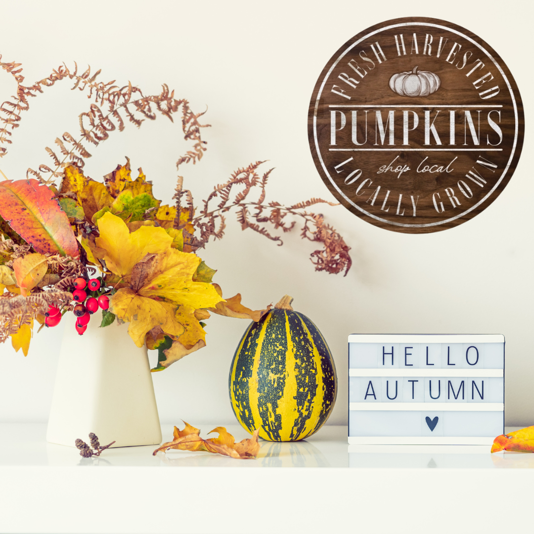 Fresh Harvested Pumpkins