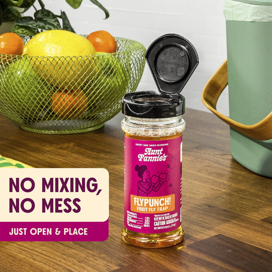 Eco friendly fruit fly trap device near fruit bowl