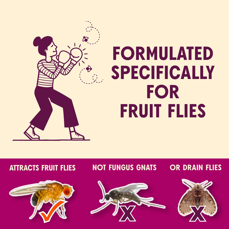 Reusable fruit fly trap catching fruit flies
