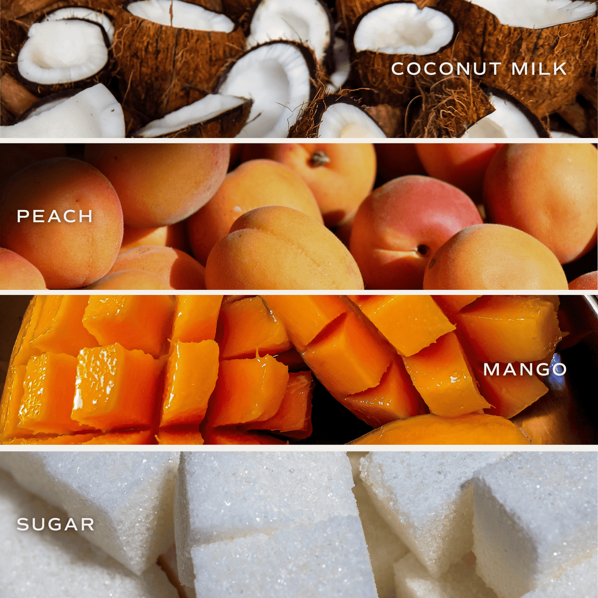 Mango + Coconut Candle