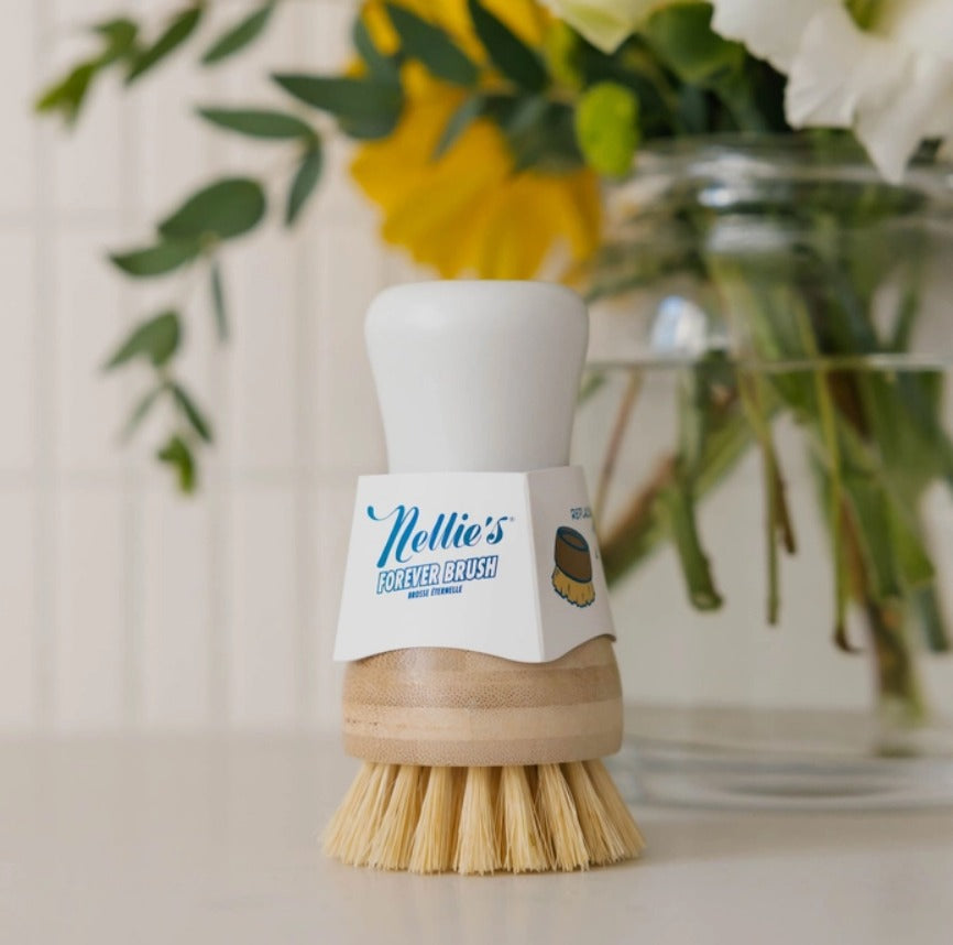 Forever Dish Brush