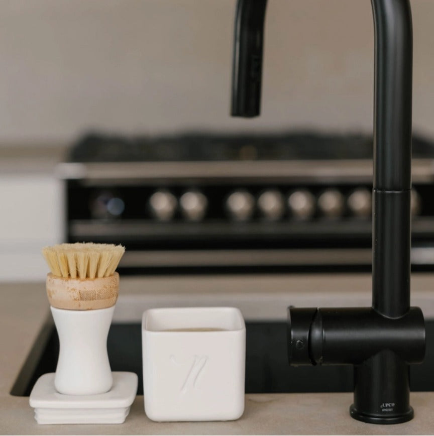 Forever Dish Brush