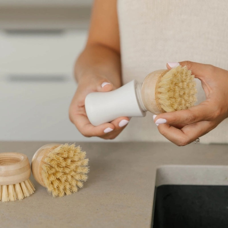 Forever Dish Brush