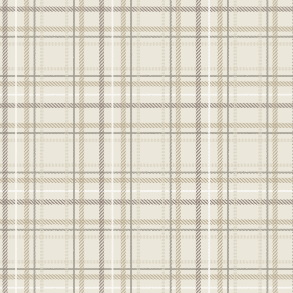 Minky Stretch XL Throw Blanket