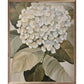 White Hydrangea Wall Sign