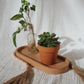 Oval Concrete Tray