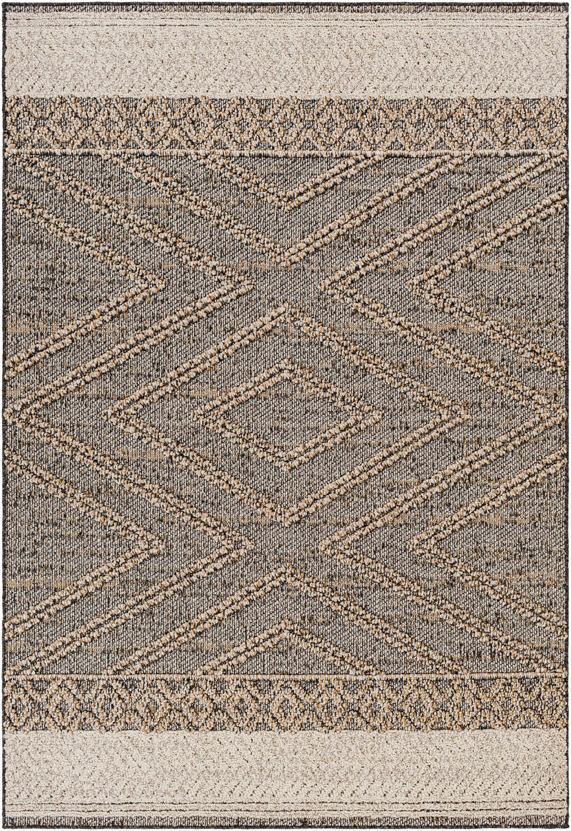 Beige Charcoal Areli Outdoor Area Rug