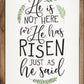 He Has Risen | Matthew 28:6