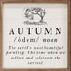 Definition Of Autumn