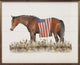 Horse With American Flag