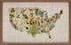 Vintage State Flowers Print